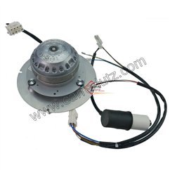 Ventilateur extracteur de fumée BLXM000003 IPC