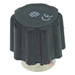 Bouchon de centrale vapeur 1/2 pouce femelle