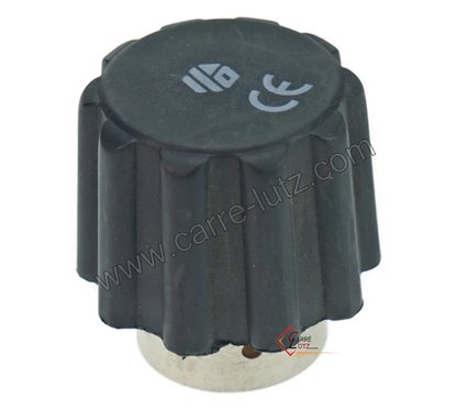 Bouchon de centrale vapeur 1/2 pouce femelle