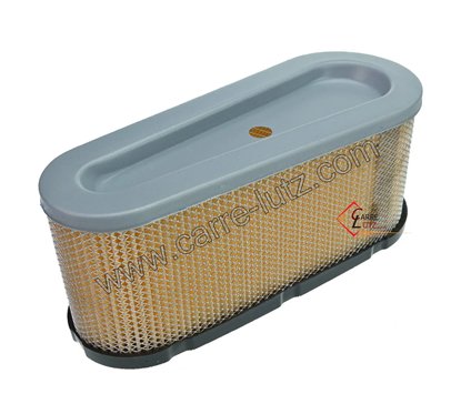 496894 - Filtre à air pour moteur Briggs & Straton 