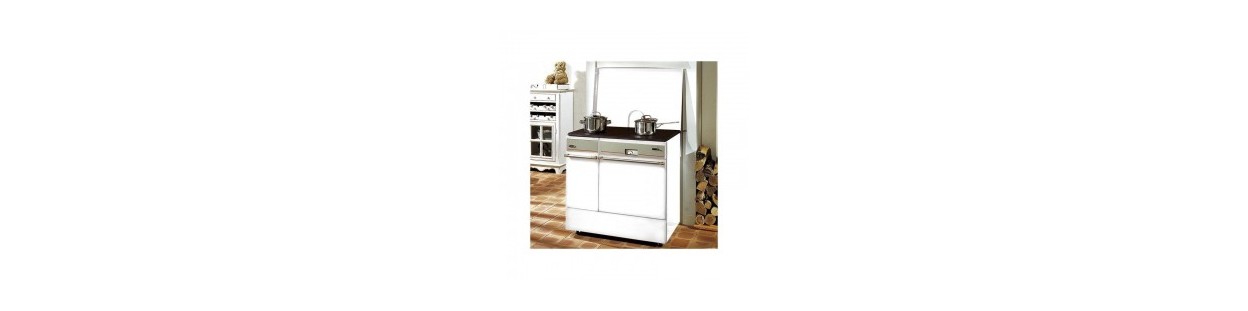 Cuisinière bois charbon Godin 6753 Arpège