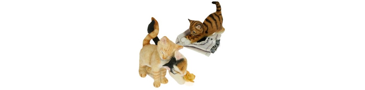 collection Country Artists chat